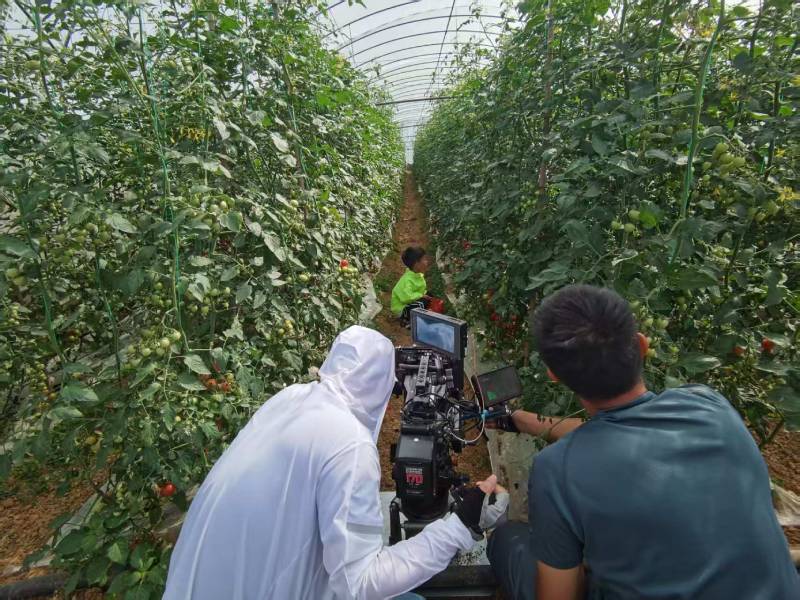 富阳市产品宣传视频拍摄公司进阶指南，助力品牌抢占传播高地